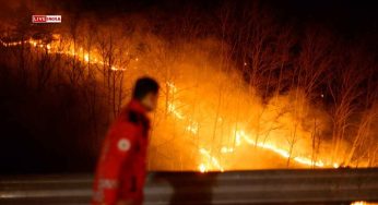 South Korea Battles Worst Wildfire in History: 27 Dead, Over 35,000 Hectares Burnt