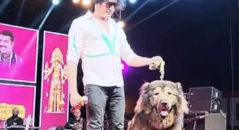 Bengaluru Man Buys World’s Most Expensive ‘Wolfdog’ for ₹50 Crore