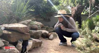 Samantha Ruth Prabhu Spends Serene Day with Kangaroos and Koalas at Featherdale Wildlife Park