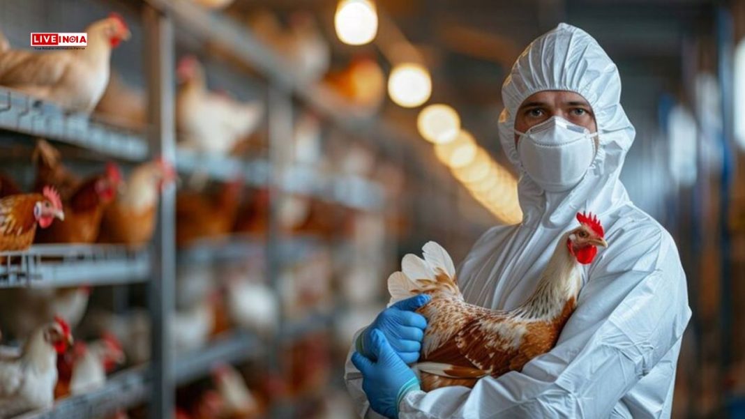 Experts Warn US to Brace for Potential Pandemic as H5N1 Bird Flu Spreads Nationwide