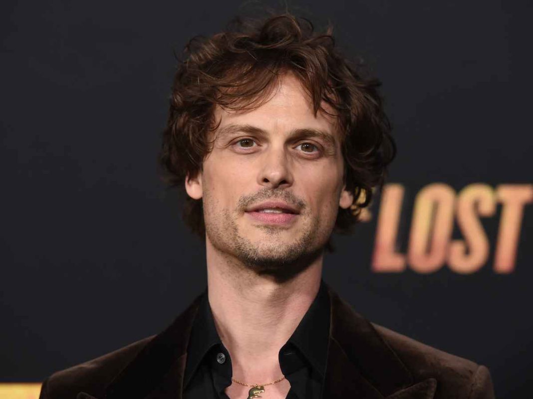 Matthew Gray Gubler's Einstein Pushed to 2026-27 Season by CBS