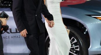 Brad Pitt Struggles to Save Romance with Ines De Ramon-Are They Heading for a Break-up?