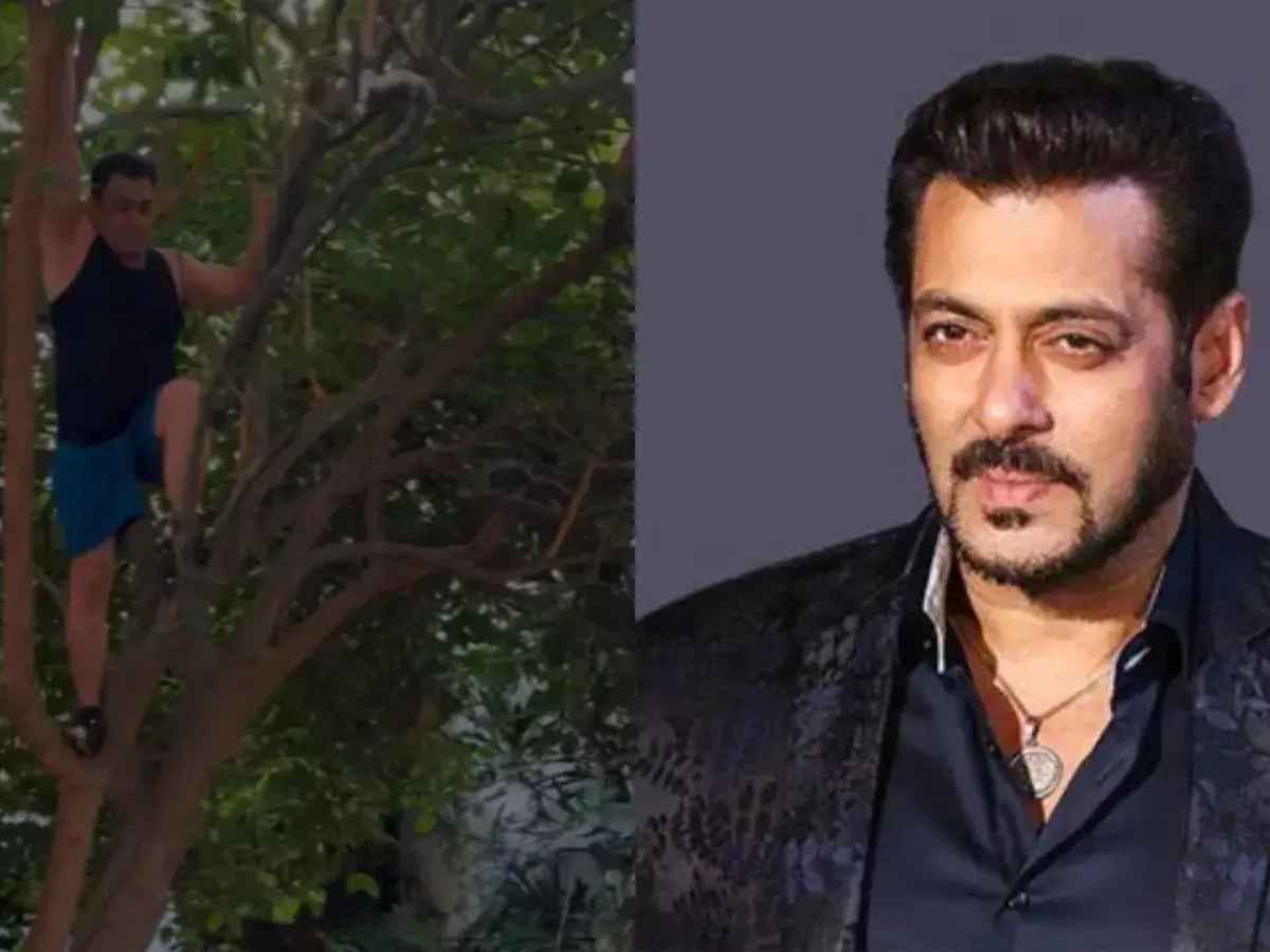 Salman Khan Shuts Down Trolls With Effortless Tree Climb Video, Fans Applaud His Fitness