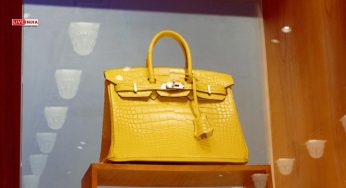 👜 Birkin Beats the House of Vuitton: Hermès Overtakes LVMH as France’s Most Valuable Company