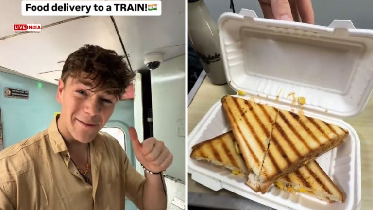 India Stuns British Vlogger with Food Delivery in the Train, Ultra Modern Metro and More-Watch
