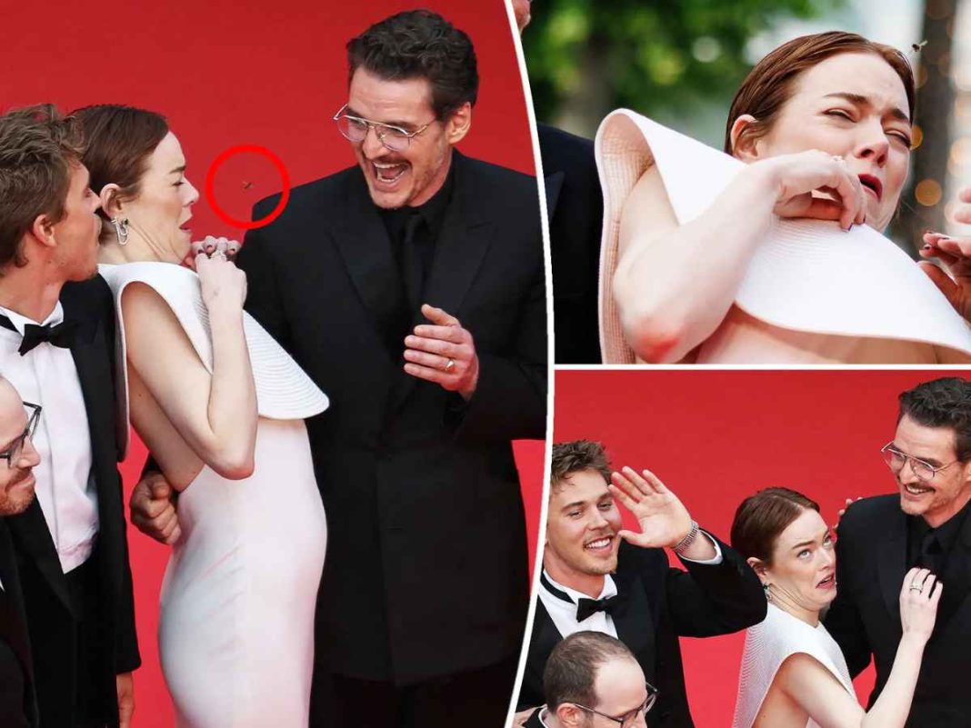 Buzz on the Red Carpet: Emma Stone's Hilarious Bee Encounter Goes Viral