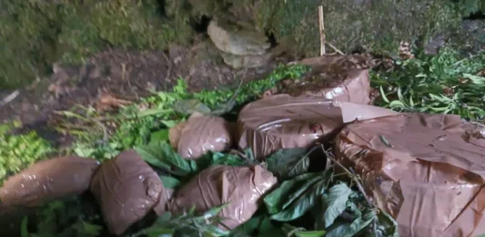 Terror Hideout Busted in J&K’s Poonch, Bomb Recovered Amid Rising Indo-Pak Tensions