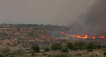 Jerusalem Wildfires Largely Contained; Authorities Warn Of Remaining Hotspots