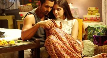 Sanam Teri Kasam Sequel Without Pakistani Actress Mawra Hocane? Director Confirms