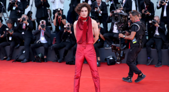 Timothée Chalamet To Receive Honorary David Di Donatello Award For Cinematic Excellence