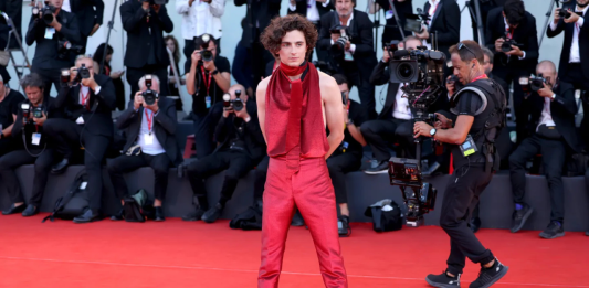 Timothée Chalamet to Receive Honorary David di Donatello Award for Cinematic Excellence