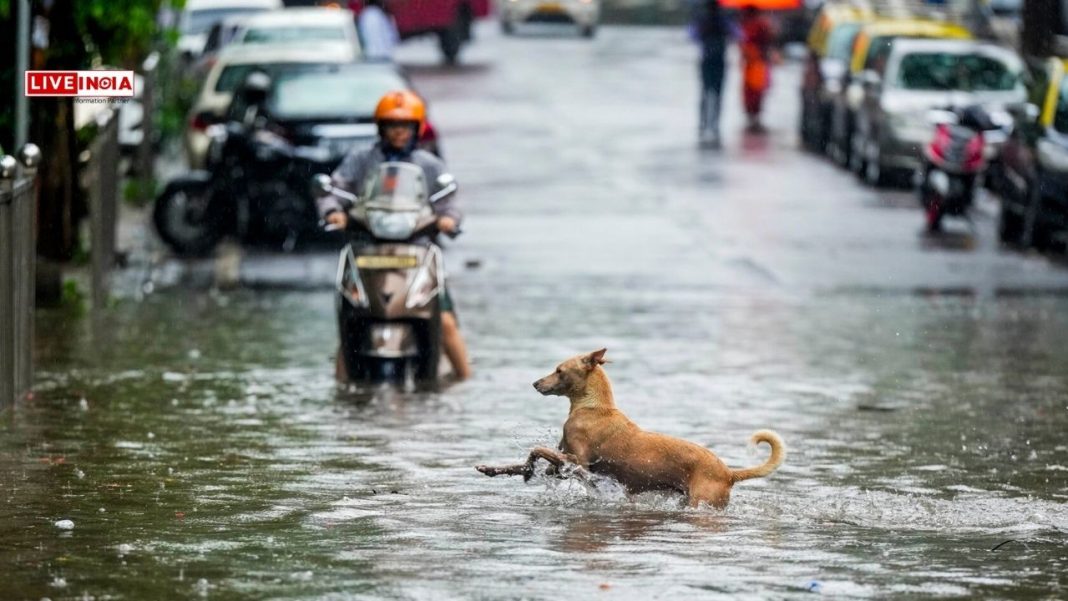 Mumbai Faces Record Downpour, IMD Warns of Heavy Rains: CM Fadnavis Reviews Situation