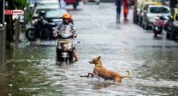 Mumbai Faces Record Downpour, IMD Warns of Heavy Rains: CM Fadnavis Reviews Situation