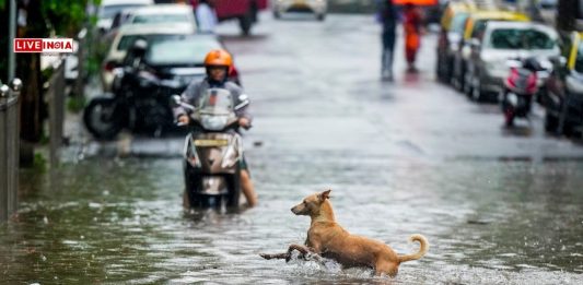 Mumbai Faces Record Downpour, IMD Warns of Heavy Rains: CM Fadnavis Reviews Situation