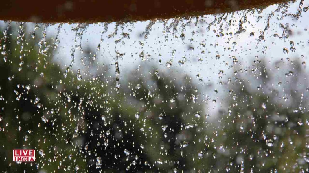 Weather Report: IMD Forecasts Widespread Rain, Heatwave Relief in Delhi