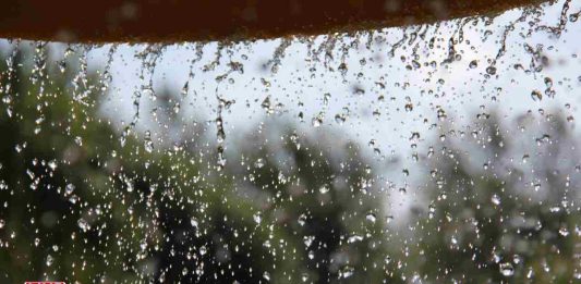 Weather Report: IMD Forecasts Widespread Rain, Heatwave Relief in Delhi