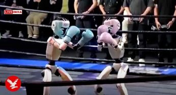 Watch: Humanoid Robots Face Off In Kick-Boxing Match In China