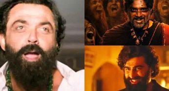 Top 10 Bollywood Heroes Who Ruled the Screen as Villains in 2024–2025