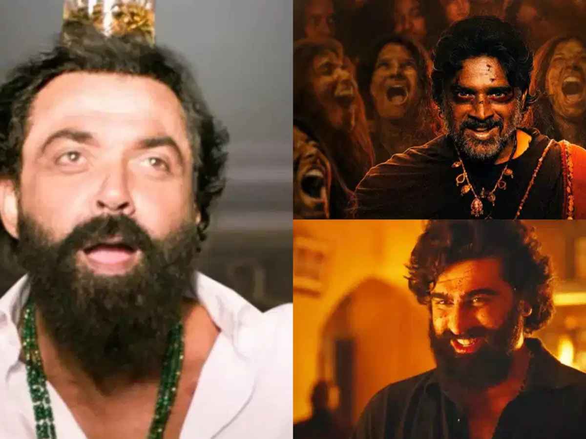 Top 10 Bollywood Heroes Who Ruled the Screen as Villains in 2024–2025