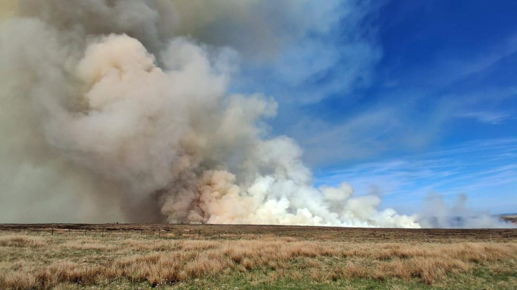 Wildfire Devastates 12,500 Acres of Dartmoor Moorland Amid Record UK Heat