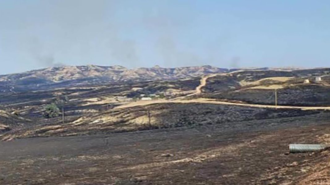 Wildfire Devastates 12,500 Acres of Dartmoor Moorland Amid Record UK Heat