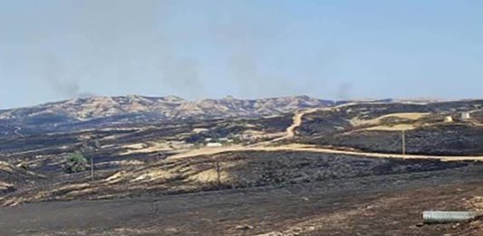 Wildfire Devastates 12,500 Acres of Dartmoor Moorland Amid Record UK Heat