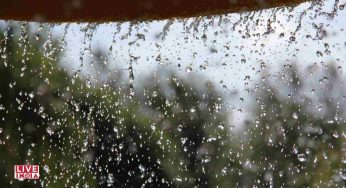 Weather Report: IMD Forecasts Widespread Rain, Heatwave Relief in Delhi