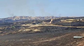 Wildfire Devastates 12,500 Acres of Dartmoor Moorland Amid Record UK Heat