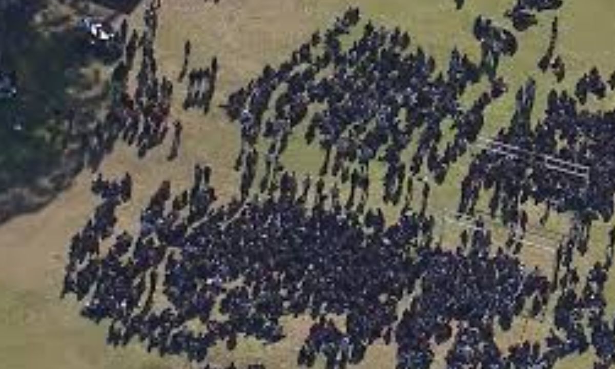 Why Did Bonnyrigg High School Go Into Lockdown So Quickly?