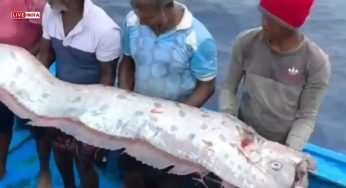 Doomsday Fish Predicting Natural Disasters Caught in Tamil Nadu: What Does This Mean?