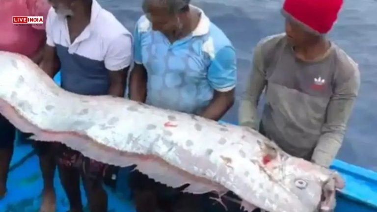 Doomsday Fish Predicting Natural Disasters Caught in Tamil Nadu: What Does This Mean?