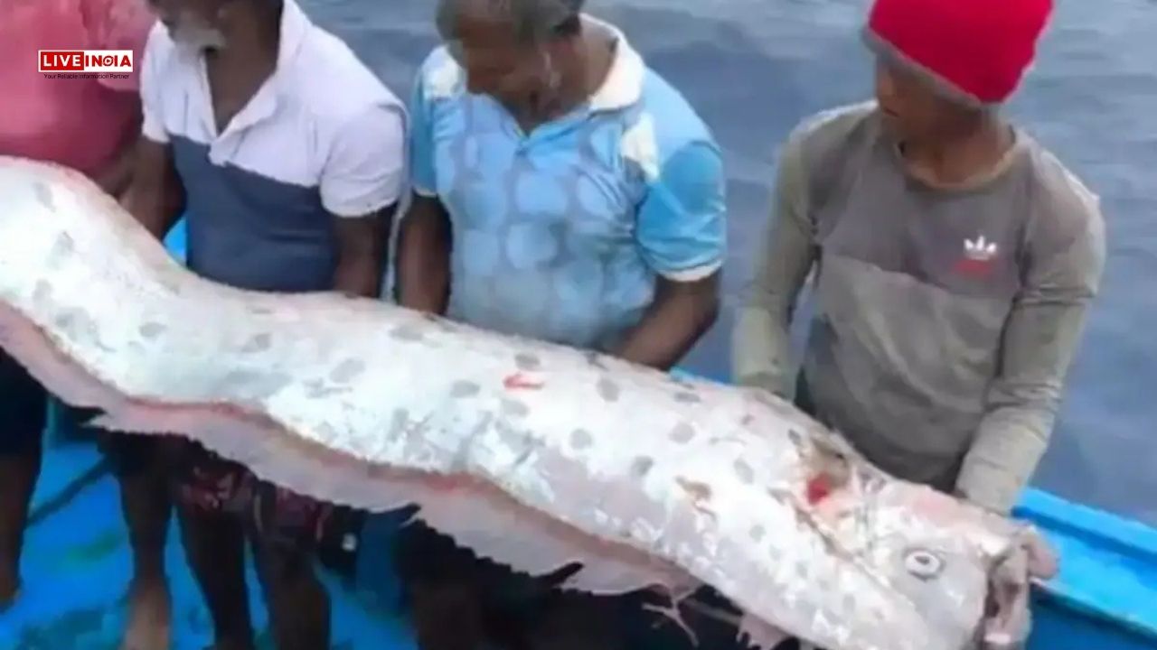 Doomsday Fish Predicting Natural Disasters Caught in Tamil Nadu: What Does This Mean?