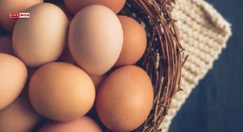 A Top Source of Protiens, How Many Eggs do Indians Consume on a Daily Average?