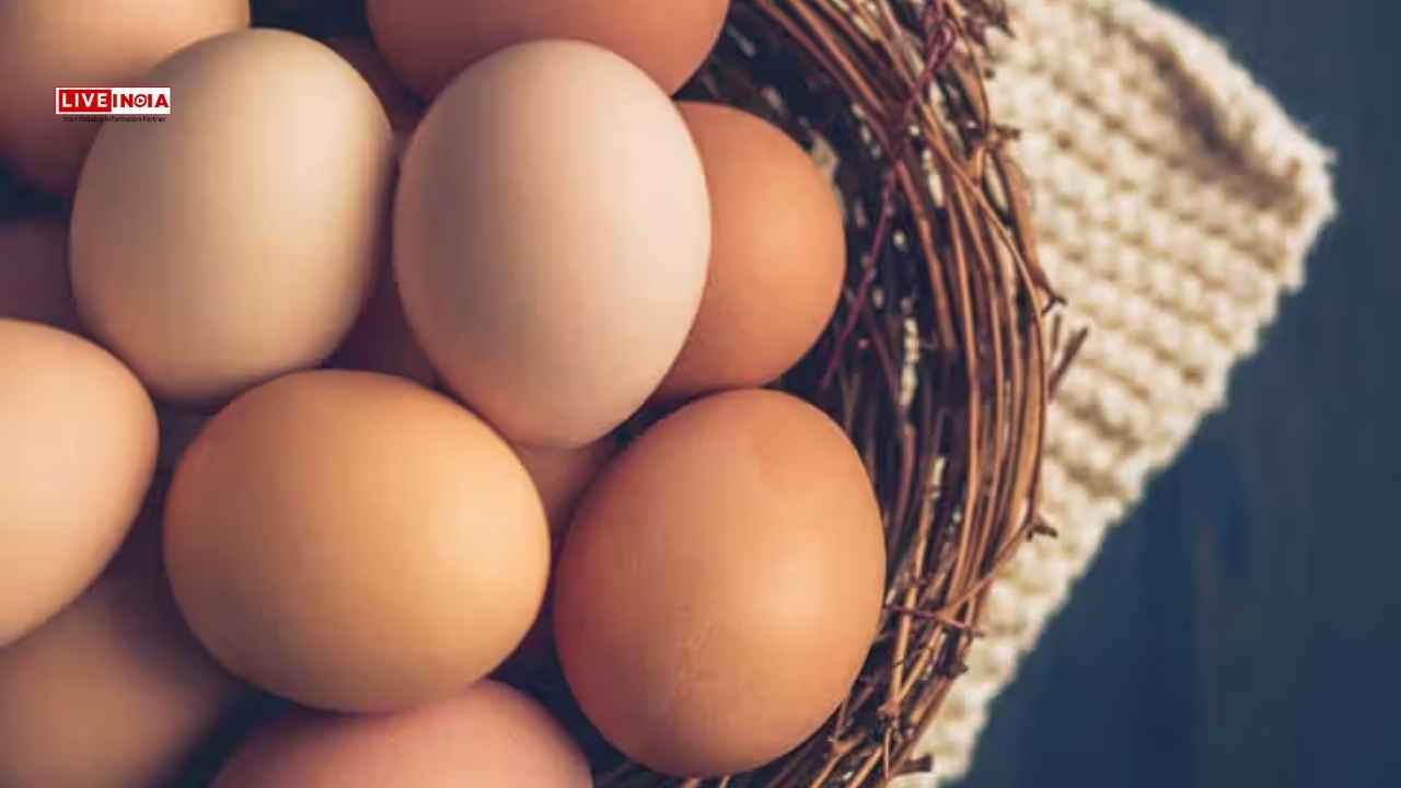 A Top Source of Protiens, How Many Eggs do Indians Consume on a Daily Average?