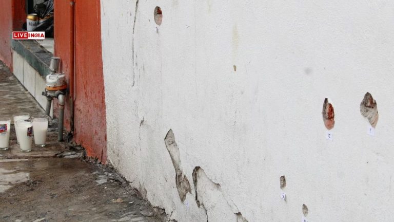 Mass Shooting at Mexican Religious Festival Leaves 12 Dead, 20 Injured in Guanajuato