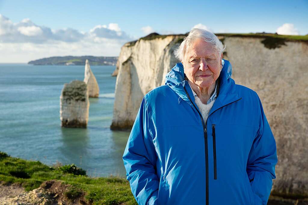 ‘Ocean With David Attenborough’ to Premiere on World Oceans Day