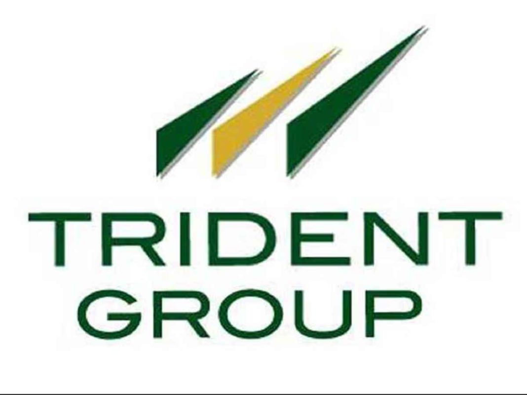 Trident Stock Hits New Highs Today: What Traders Need to Know