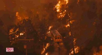 Matthew McConaughey Leads Emotional Rescue in Apple’s Wildfire Drama The Lost Bus