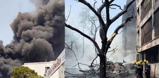 Air India Plane Crash LIVE Updates: All 242 People On Board Feared Dead!