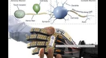 Breakthrough Robotic Skin Mimics Human Touch, Developed By UK Researchers