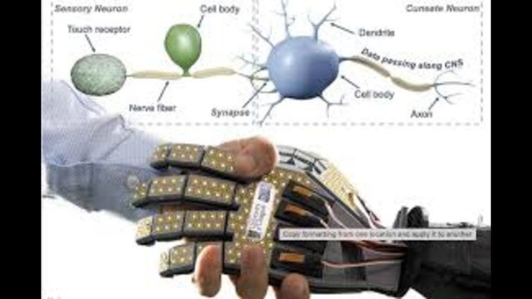 Breakthrough Robotic Skin Mimics Human Touch, Developed By UK Researchers