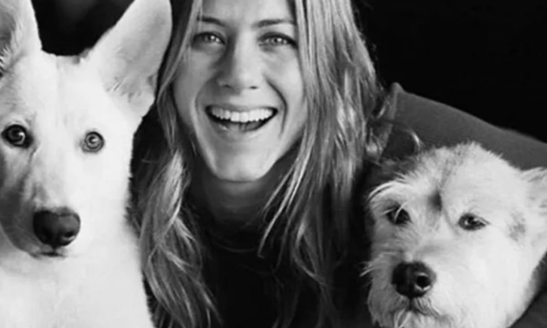 Jennifer Aniston’s Dream Day: No Plans, Just Puppies?