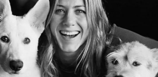 Jennifer Aniston’s Dream Day: No Plans, Just Puppies?