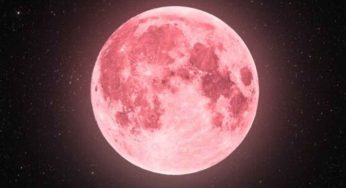 🌕 Strawberry Moon 2025: When to Watch, What It Means and How to Manifest Its Magical Energy