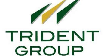 Trident Stock Hits New Highs Today: What Traders Need to Know