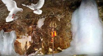 Amarnath Yatra 2025: Why Only the Blessed Witness Amarnath’s Sacred Pigeons