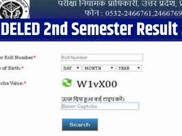 UP DElEd Result for Semesters 2 and 4 Out – Download Link and Pass Percentage