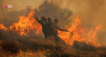 Turkey, Greece Wildfires Live: Blaze Triggers Mass Evacuations and Major Emergency Response