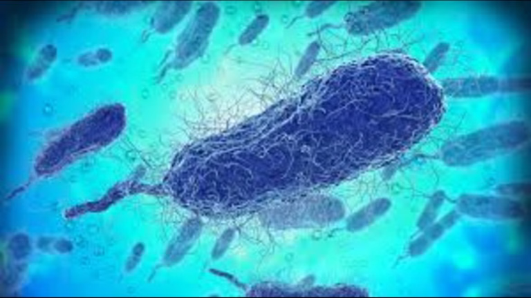 Flesh-Eating Bacteria Surge In Florida: Climate Change Behind Deadly Spike?"