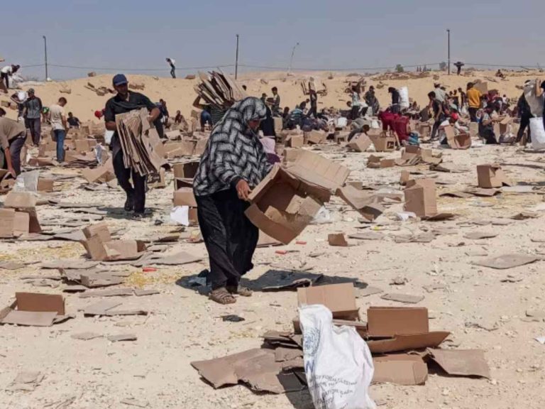 BCG Earned More Than $1mn For Gaza Aid Barge Project